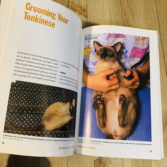 The Guide to Owning a Tonkinese Cat by Lorraine Shelton Paperback Cat Care 1997 - Picture 3 of 5